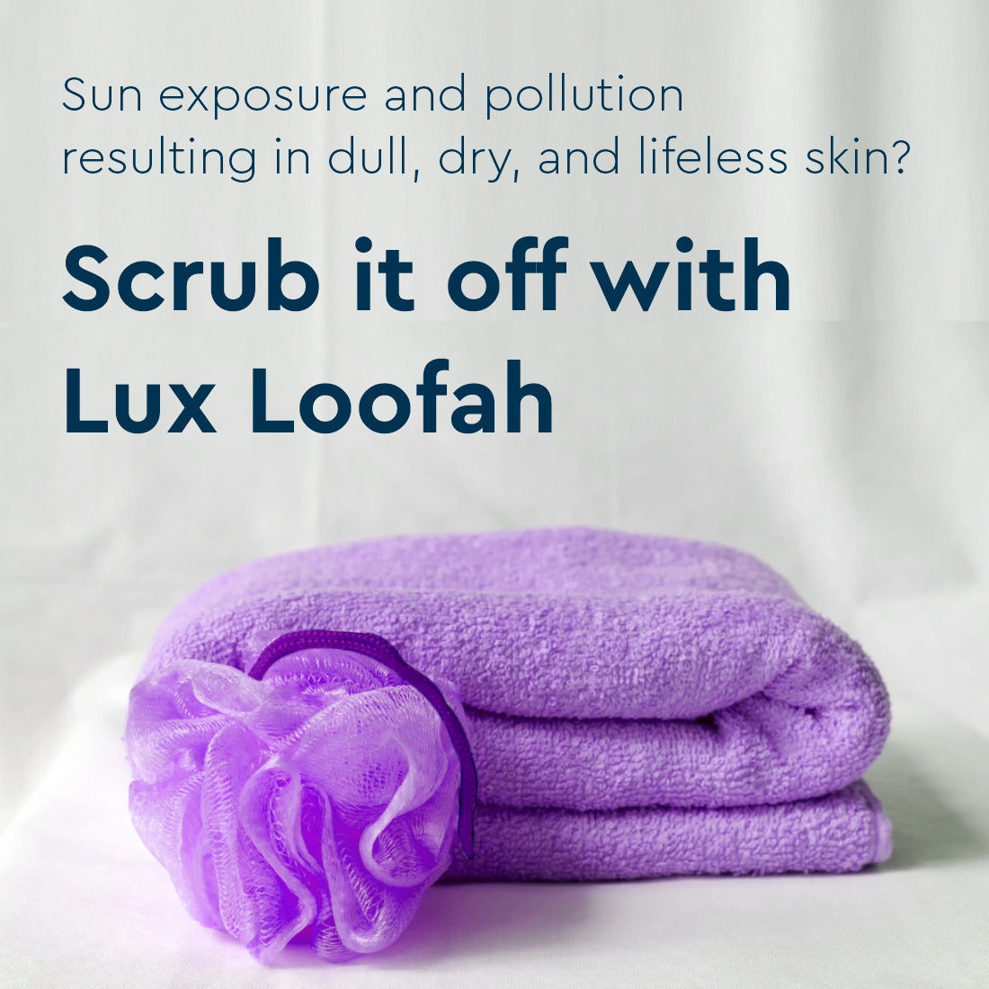 Loofah